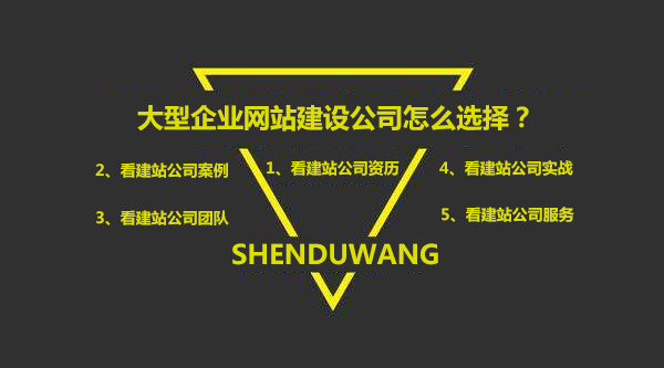 大型企業(yè)網(wǎng)站建設公司選擇要求
